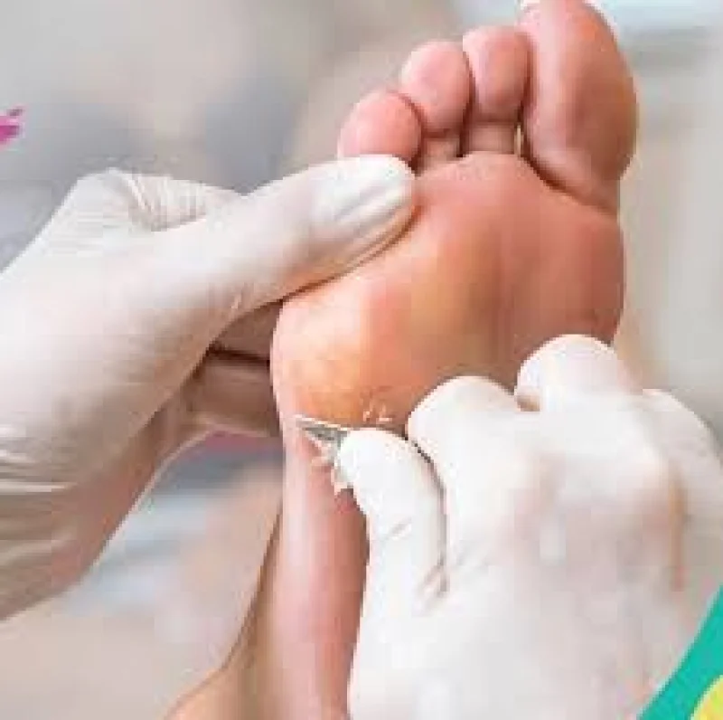 Curso Spa dos Pés 2026 (Promoção)