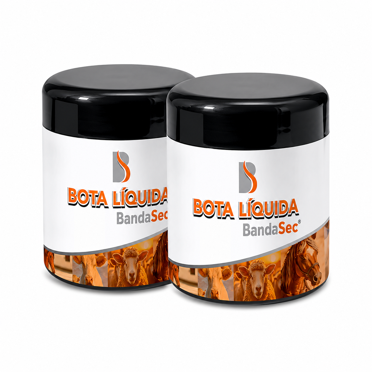 02 Botas Liquidas - BandaSec
